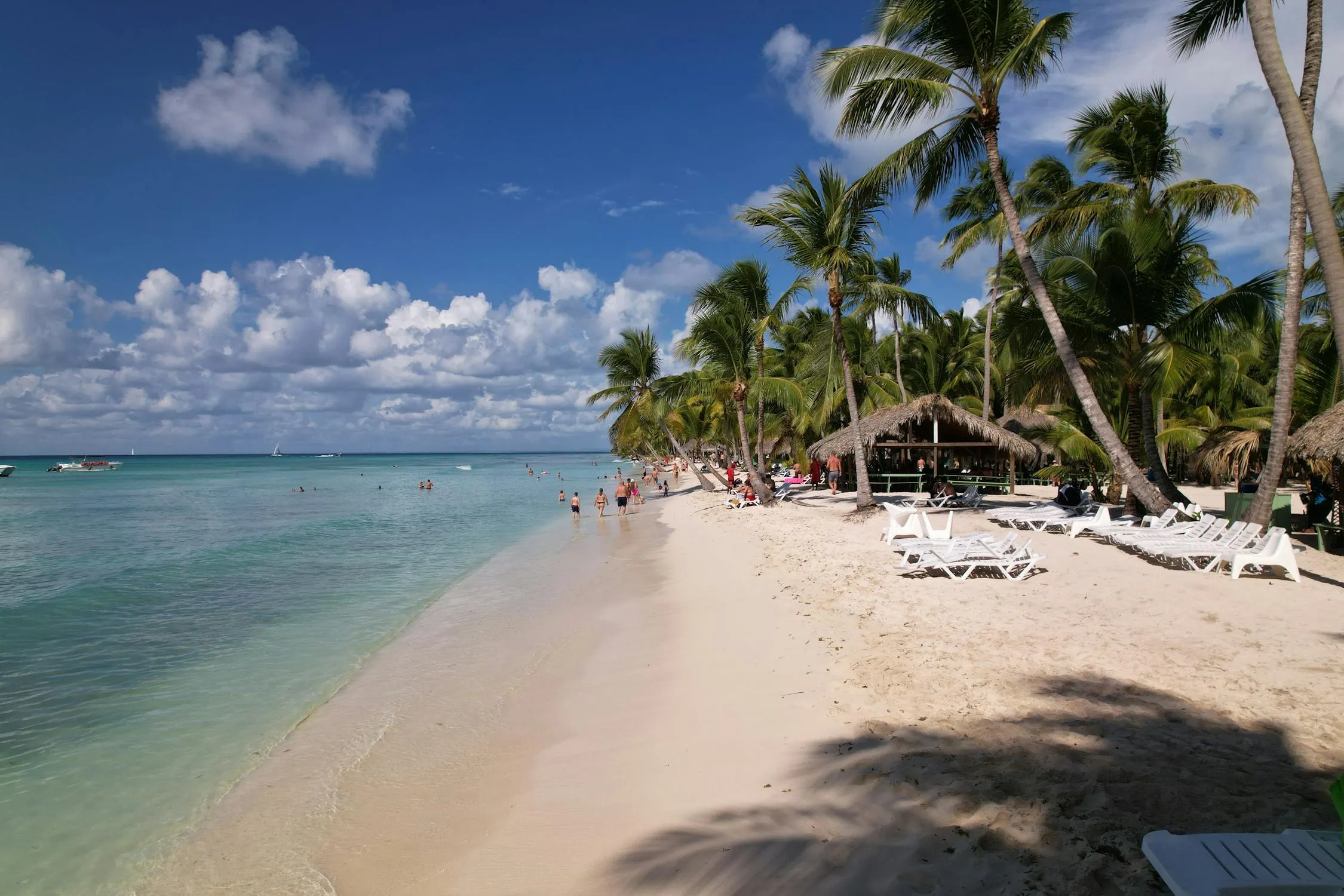 A picturesque view of Bavaro Beach with palm trees and beachgoers enjoying the clear waters.