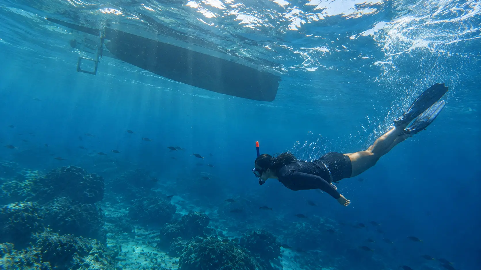 Snorkeling Saona Island Dominican Republic with a snorkeler exploring deep blue Caribbean waters