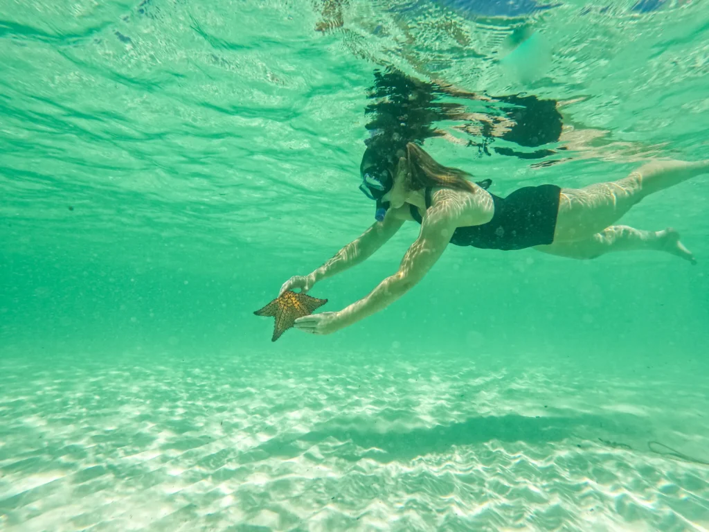 Person snorkeling in Punta Cana's crystal-clear turquoise water while gently holding a starfish above the white sandy seabed.