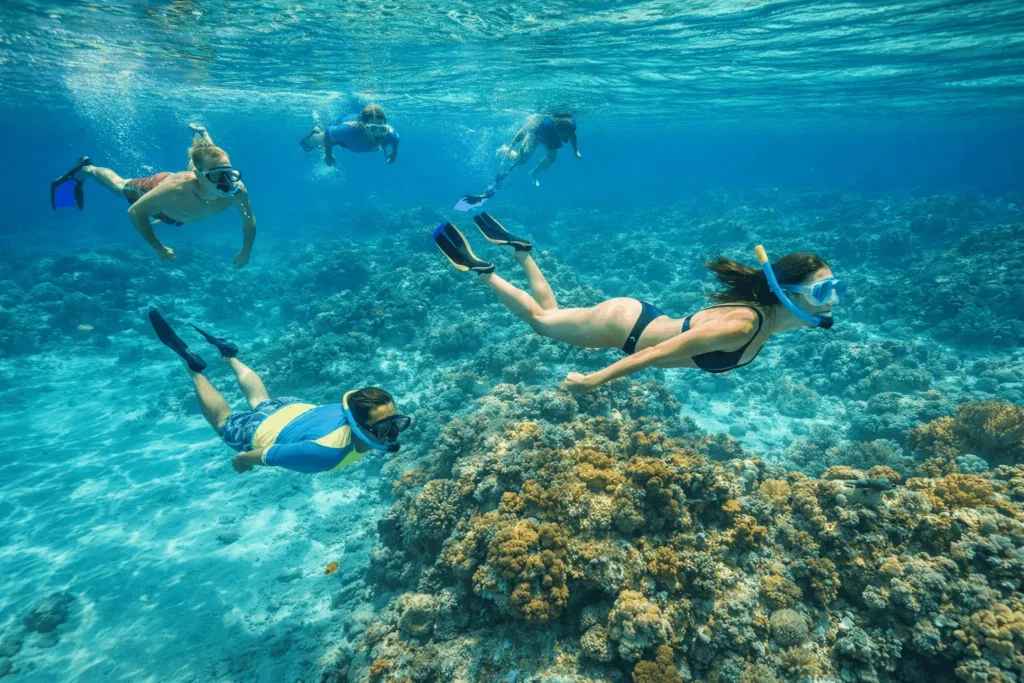 Snorkelers exploring colorful coral reefs in the clear turquoise waters of Catalina Island.
