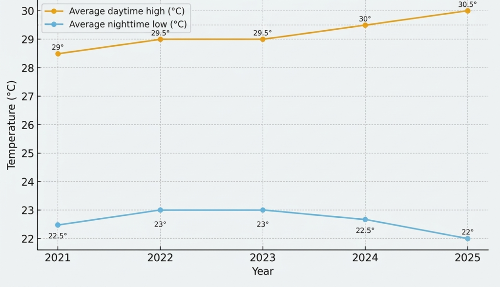 Line graph showing Punta Cana’s December climate 2021 to 2025
