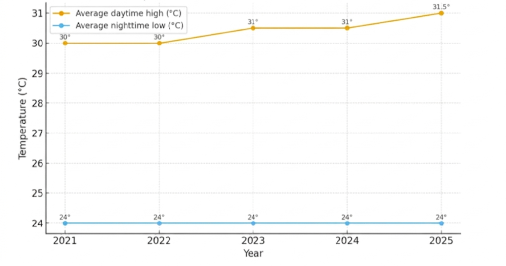 November Temperature Trends in Punta Cana from 2021 to 2025