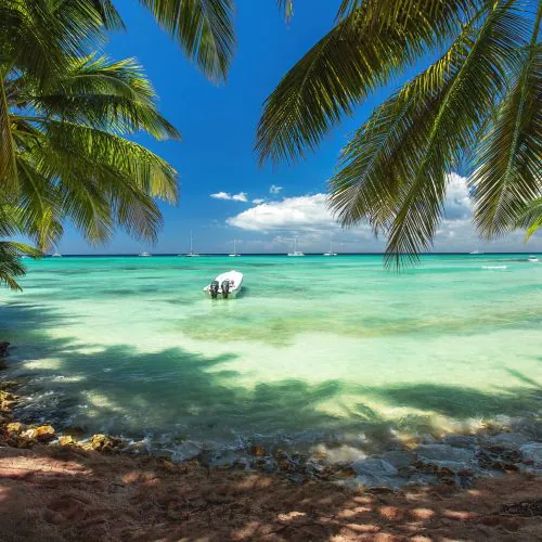 Beautiful view of Isla Catalina on shared Isla Catalina tour with us-2