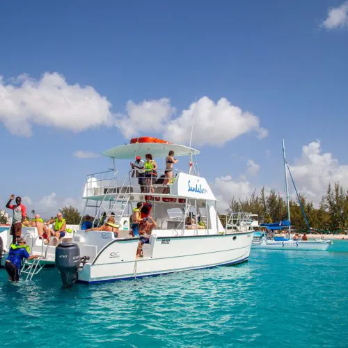 Happy guest fun and enjoy the beautiful views on shared Isla Catalina tour with us