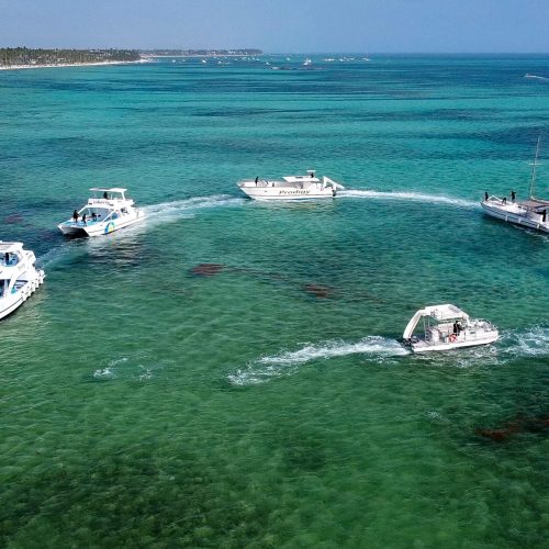 catamarans punta cana