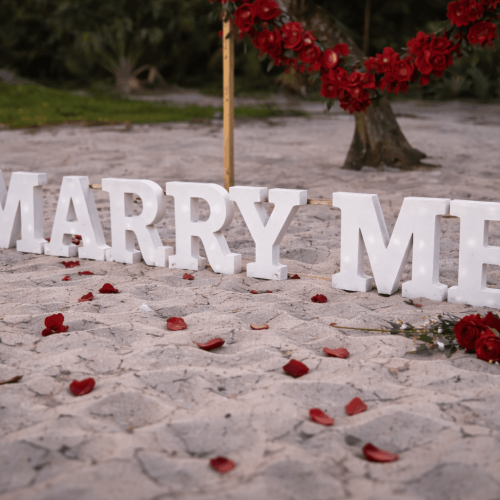 proposal