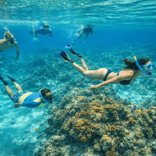 Snorkelers swimming in clear turquoise water at Saona Island Dominican Republic with tropical fish below and a catamaran near a palm-lined beach