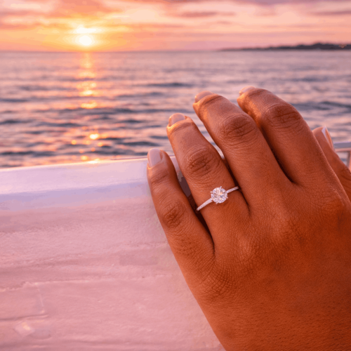 sunset catamaran proposal