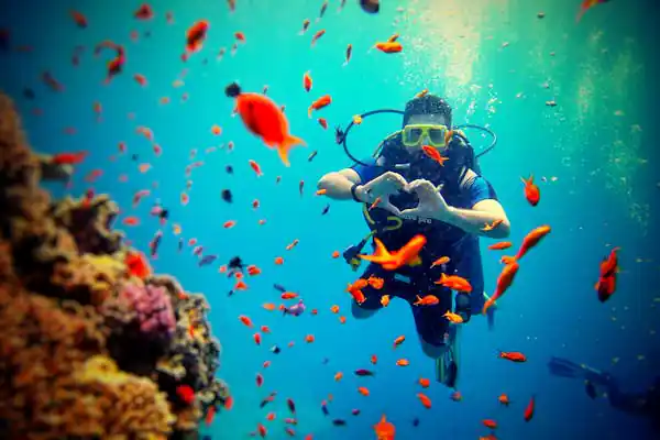 A diver underwater forming a heart shape with their hands, surrounded by colorful fish and coral.